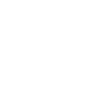 vegan (2)